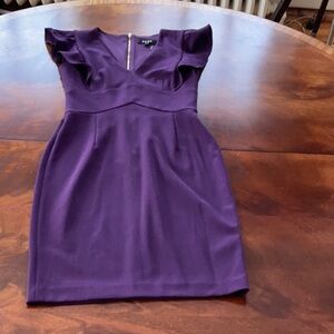 Elegant Purple Women's Dress